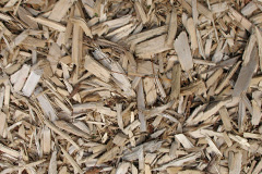 biomass boilers Inverkeithny